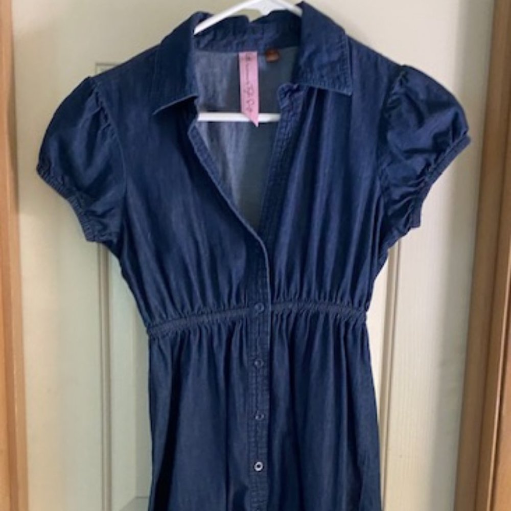 Denim Cap Sleeve TAYLOR SWIFT Dress S